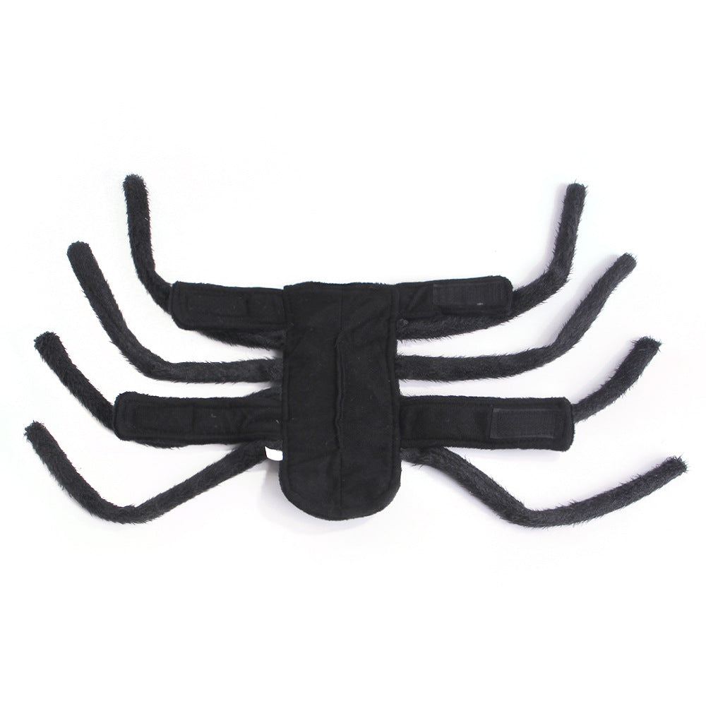 Halloween Spider Transformation Costume For Cats And Dogs