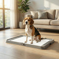 Foldable Dog Pee Pad Holder Litter Box With Disposable Pads