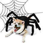 Halloween Spider Transformation Costume For Cats And Dogs
