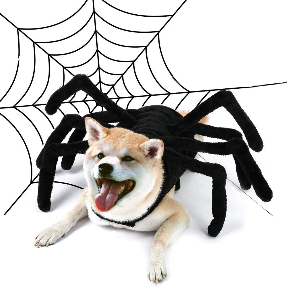Halloween Spider Transformation Costume For Cats And Dogs