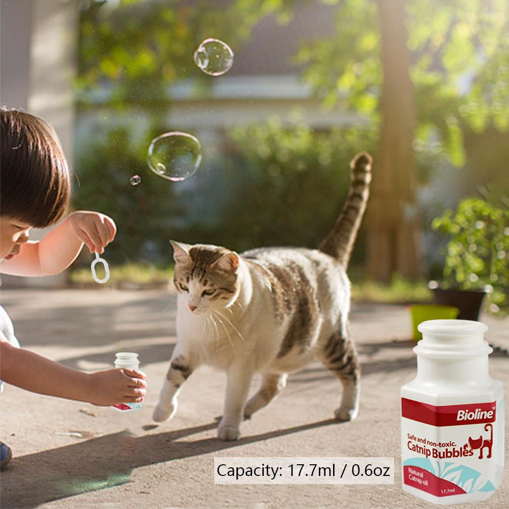 Interactive Bubble Toy For Cats Endless Playtime Fun
