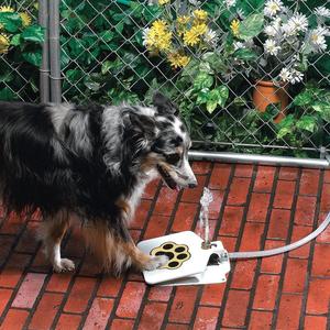 Smarter Outdoor Hydration Station