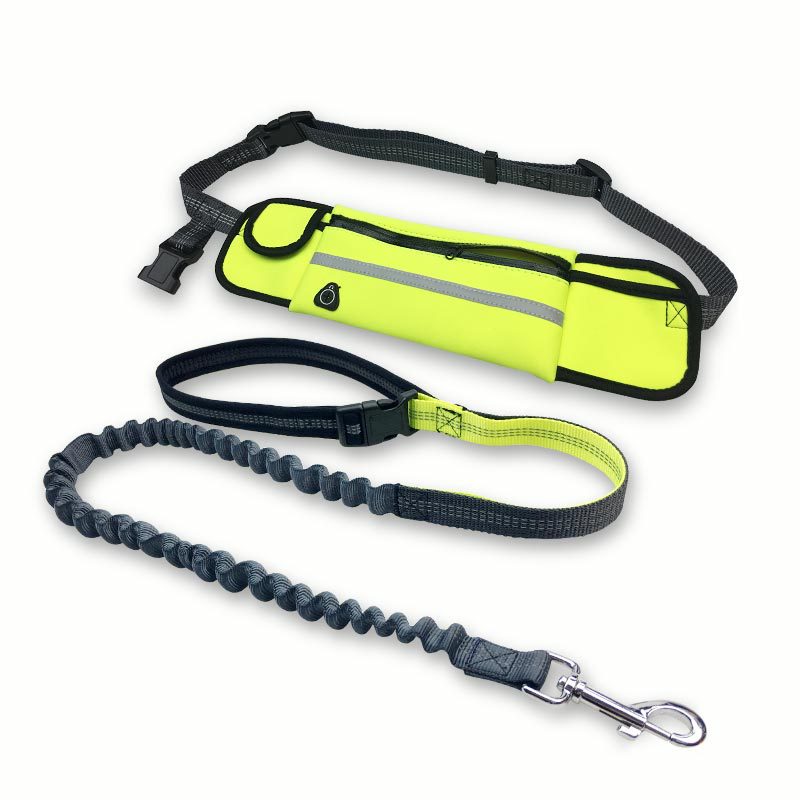 Hands-Free Dog Running Leash With Shock Absorbing Bungee Belt