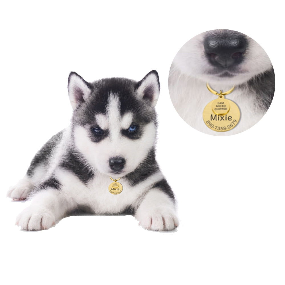Personalized Pet ID Tag Funny Keychain Dog Collar