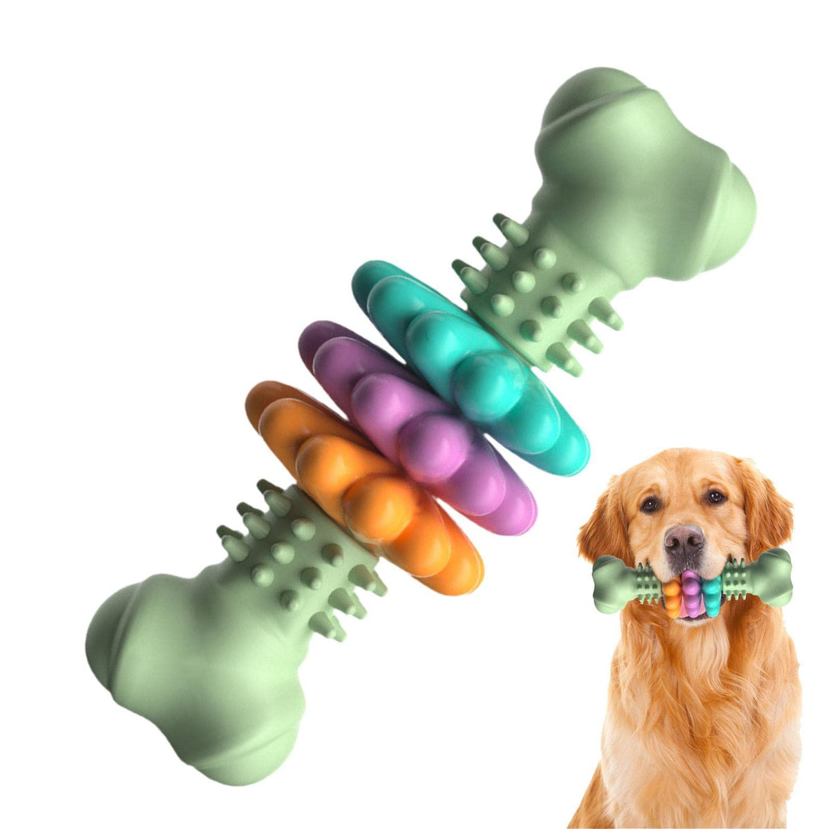 Built to Outlast Any Chewer