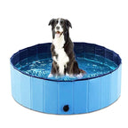 Foldable Dog Swimming Pool For All Breed Sizes