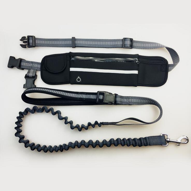 Hands-Free Dog Running Leash With Shock Absorbing Bungee Belt