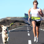 Hands-Free Dog Running Leash With Shock Absorbing Bungee Belt