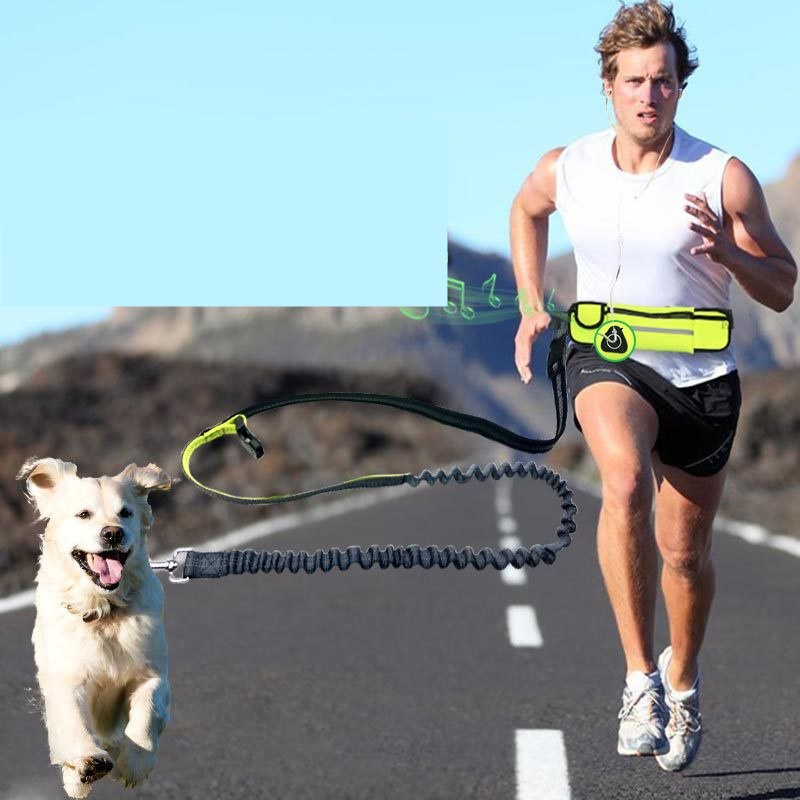 Hands-Free Dog Running Leash With Shock Absorbing Bungee Belt