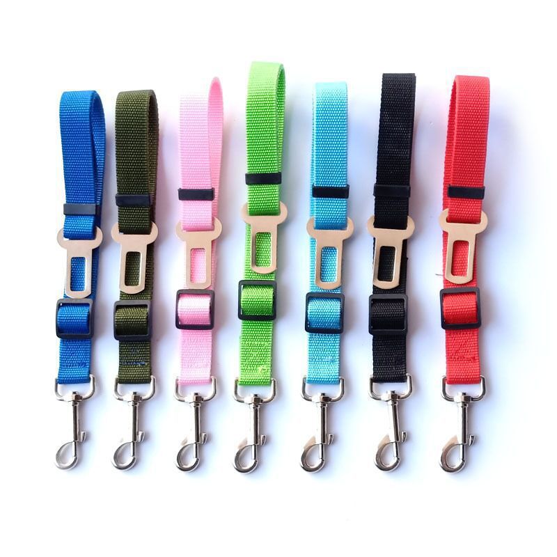Safety That Clips In Seconds
