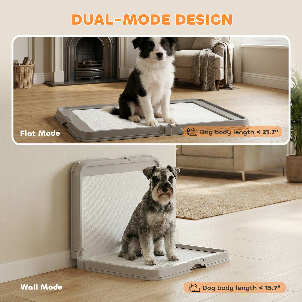 Features Designed For Daily Life