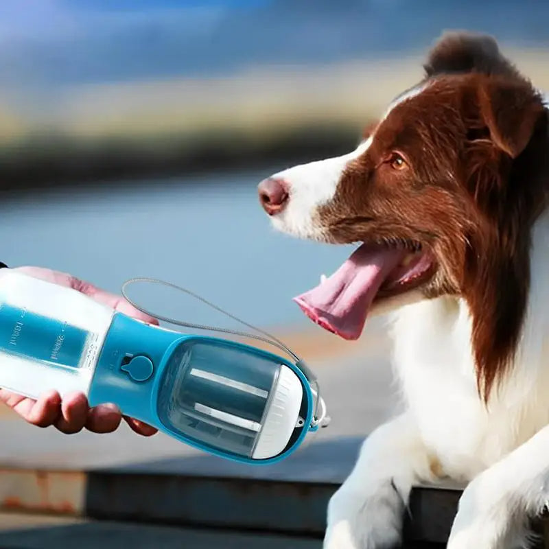 3-in-1 Portable Dog Travel Water Food Cup