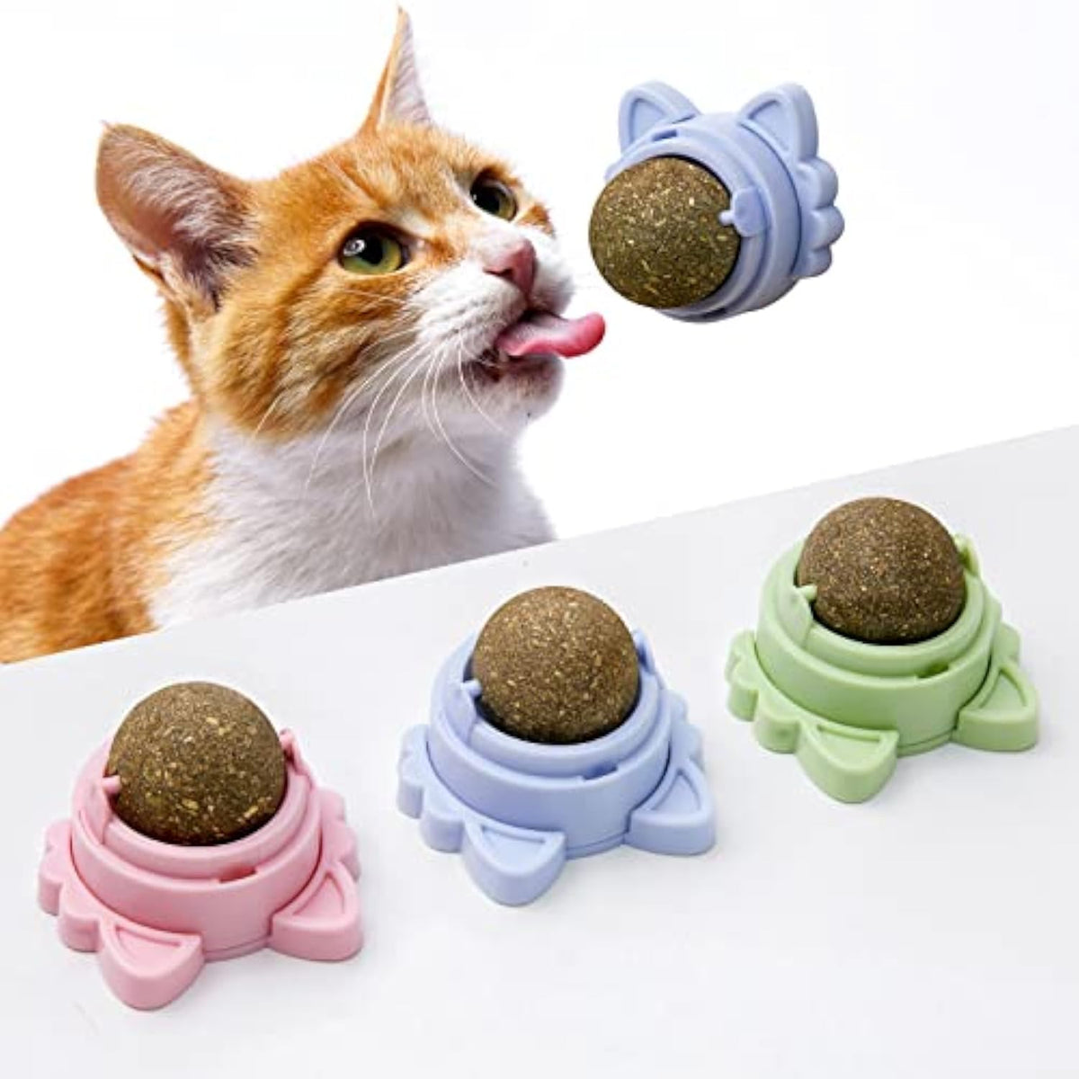 Play, Chew, Repeat