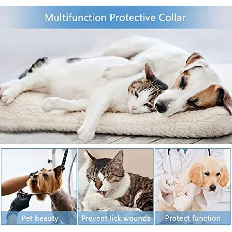 Soft Inflatable Recovery Collar For Dogs And Cats