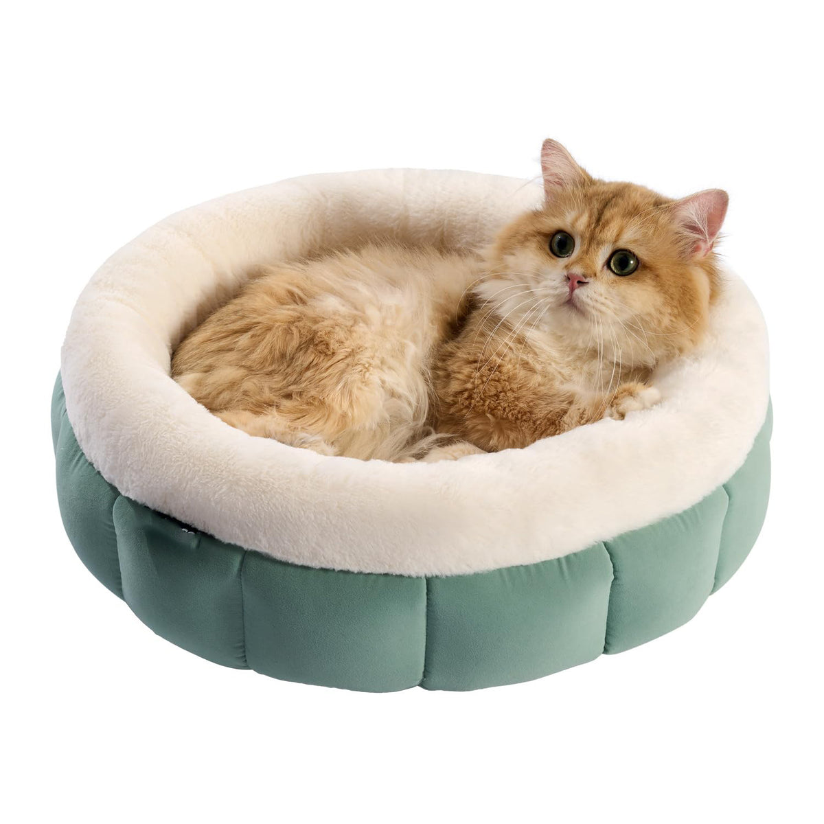 The Perfect Cozy Nest