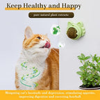 Wall-Stick Catnip Balls For Cat Dental Health
