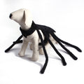 Halloween Spider Transformation Costume For Cats And Dogs