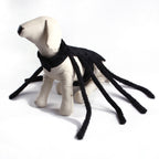 Halloween Spider Transformation Costume For Cats And Dogs