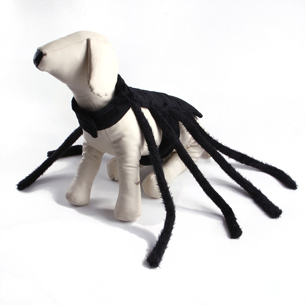 Halloween Spider Transformation Costume For Cats And Dogs