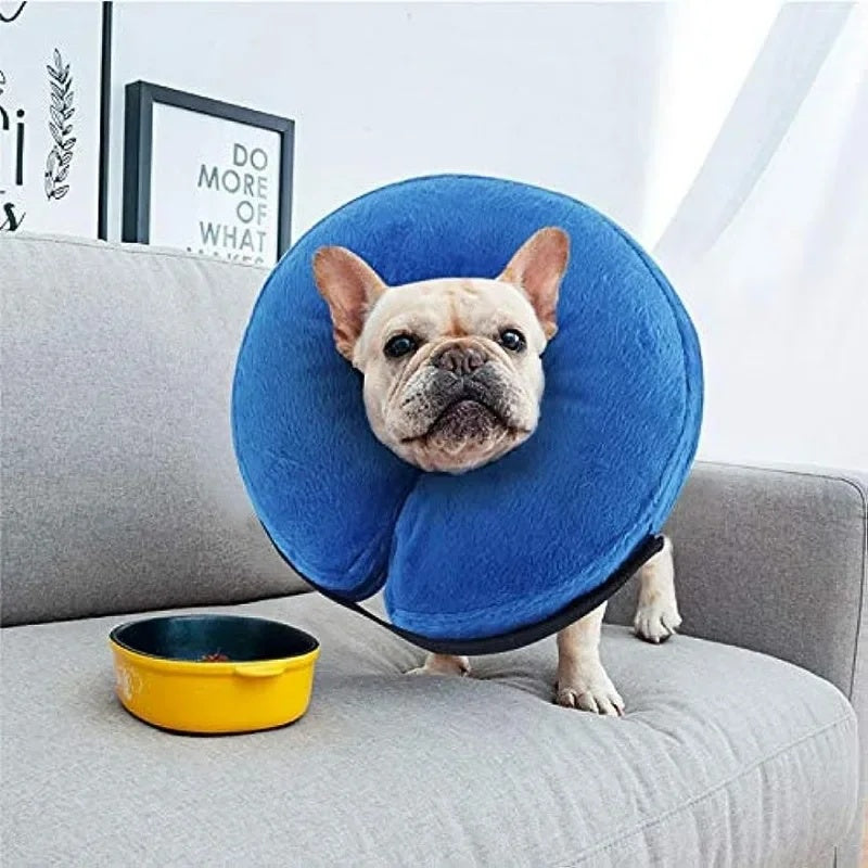 Soft Inflatable Recovery Collar For Dogs And Cats