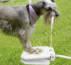 Outdoor Dog Water Fountain With Motion-Activated Flow