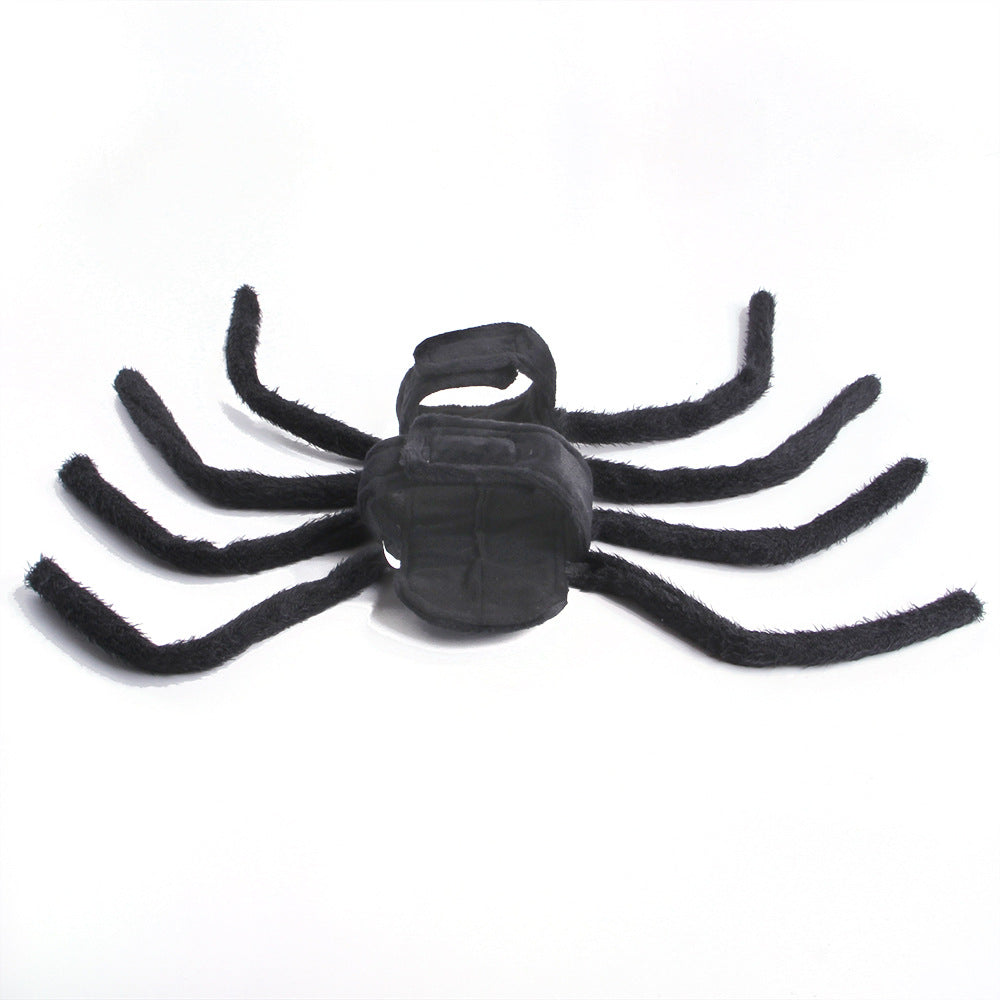 Halloween Spider Transformation Costume For Cats And Dogs