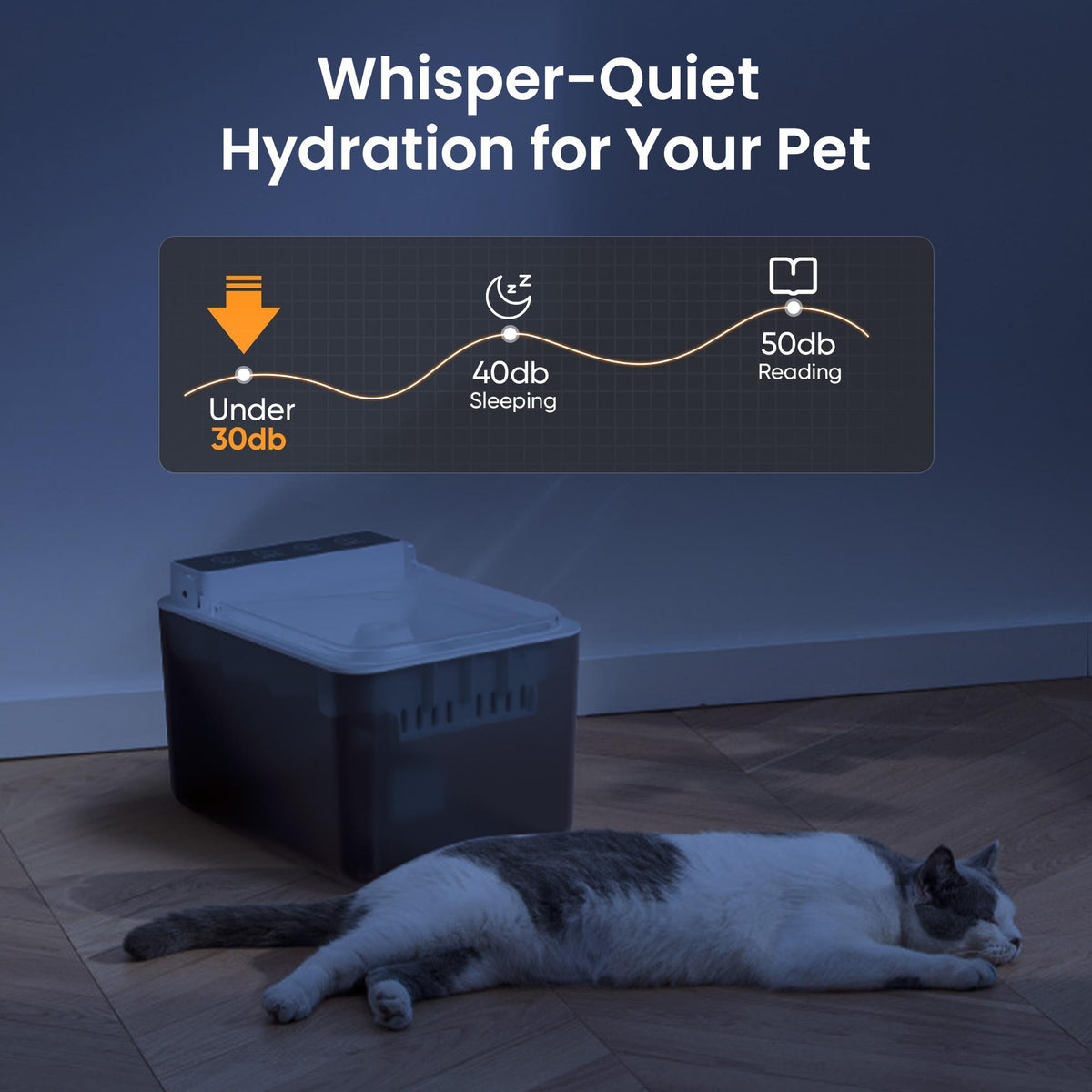 Built Around Your Cat's Health