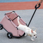 Foldable Pet Stroller For Small Dogs And Cats