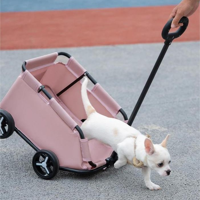 Foldable Pet Stroller For Small Dogs And Cats