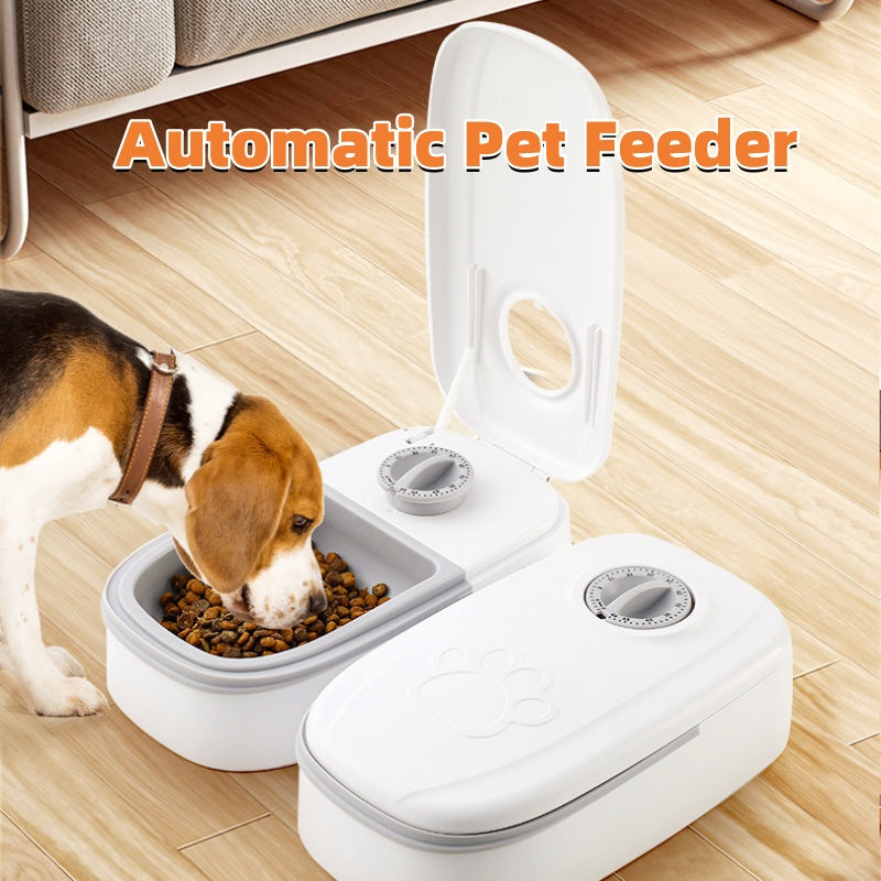 Never Miss A Meal Again
