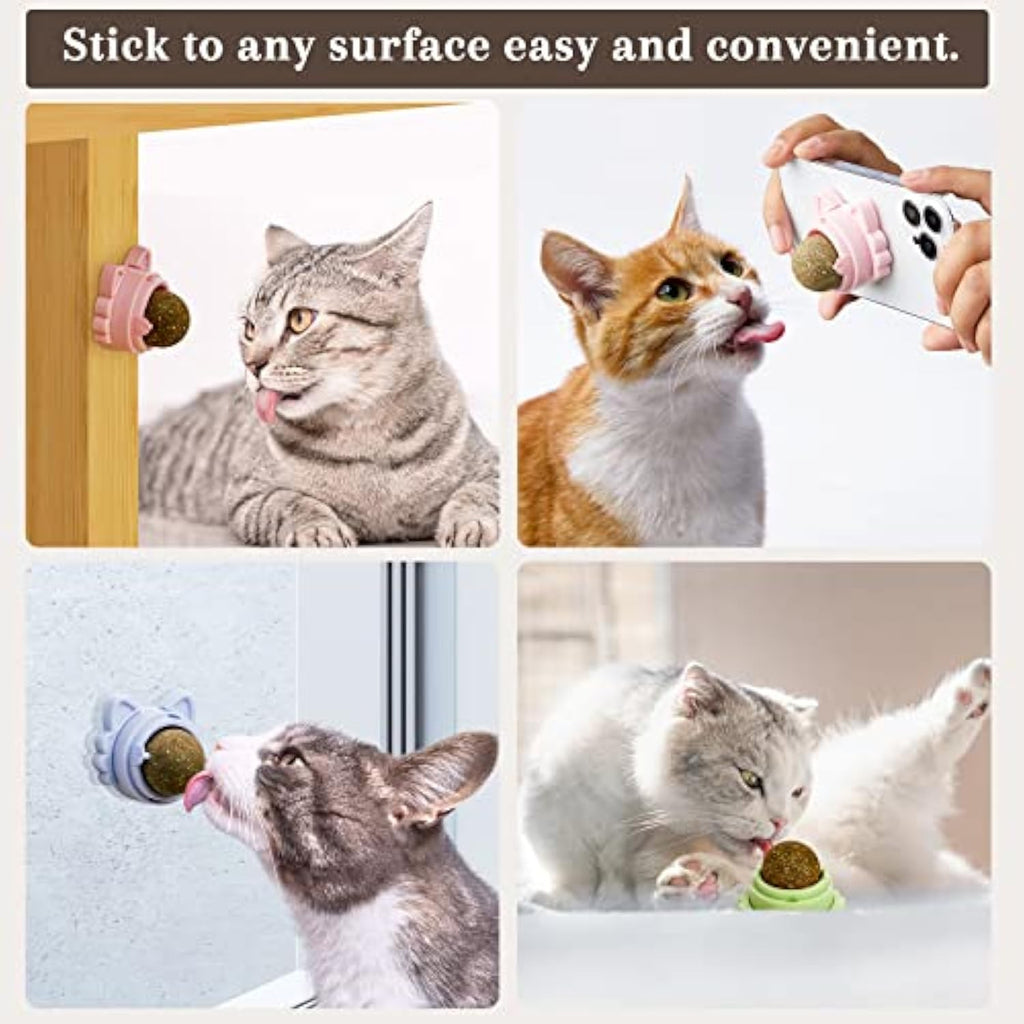 Wall-Stick Catnip Balls For Cat Dental Health